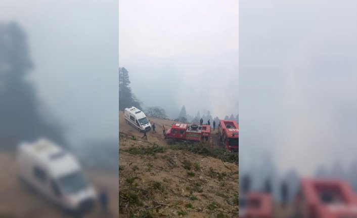 Gümüşhane'de Üçtaş köyündeki örtü yangını da kontrol altına alındı