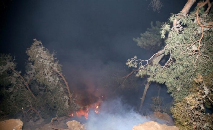 GÜNCELLEME - Kastamonu'da orman yangını