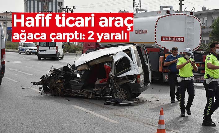 Hafif ticari araç ağaca çarptı: 2 yaralı