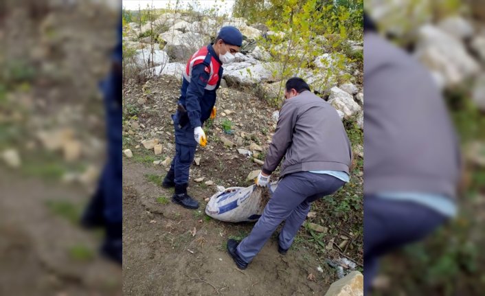 Karabük'te izinsiz salyangoz toplayan 5 kişi yakalandı