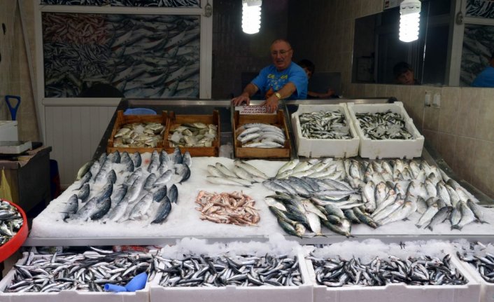 Karadeniz'de ağlara takılmaya başlayan hamsi balıkçıları umutlandırdı