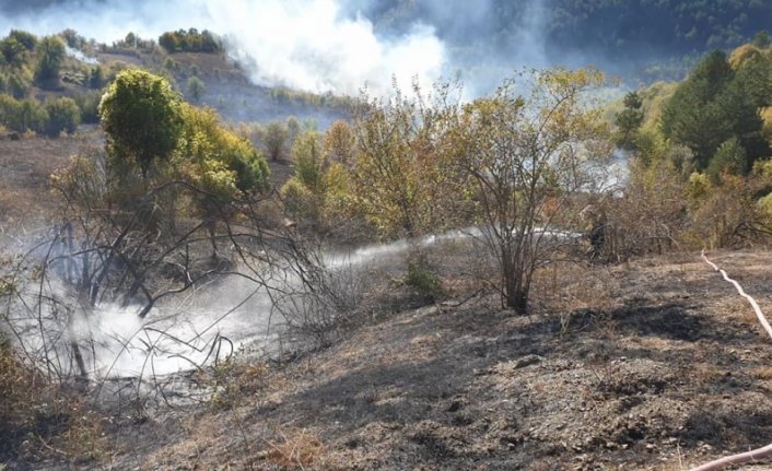Kastamonu'da yangında 2 hektar ormanlık alan zarar gördü