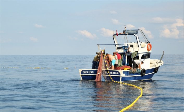 Kastamonulu balıkçılar palamutun bolluğundan memnun