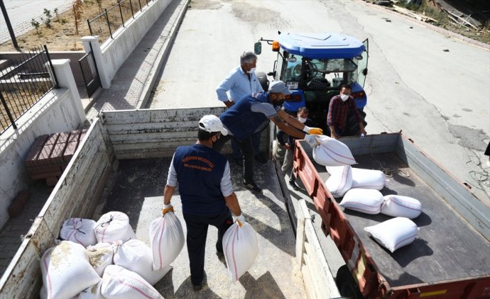 Keçiören Belediyesi'nden çiftçilere tohum desteği