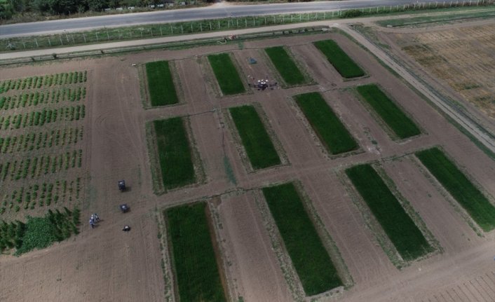 Ondokuz Mayıs Üniversitesinin Su Yönetimi Projesi kabul edildi