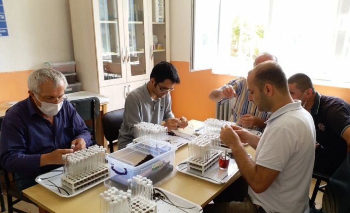 Ormanları avcı böcekler koruyacak