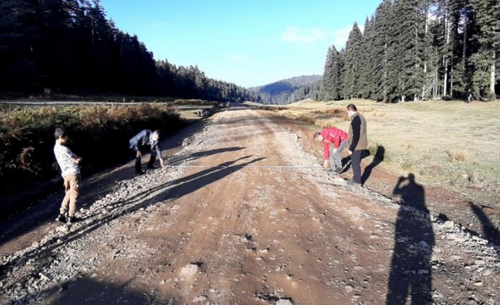 Pürenli ve Balıklı yaylaları yapılacak yolla birleşecek