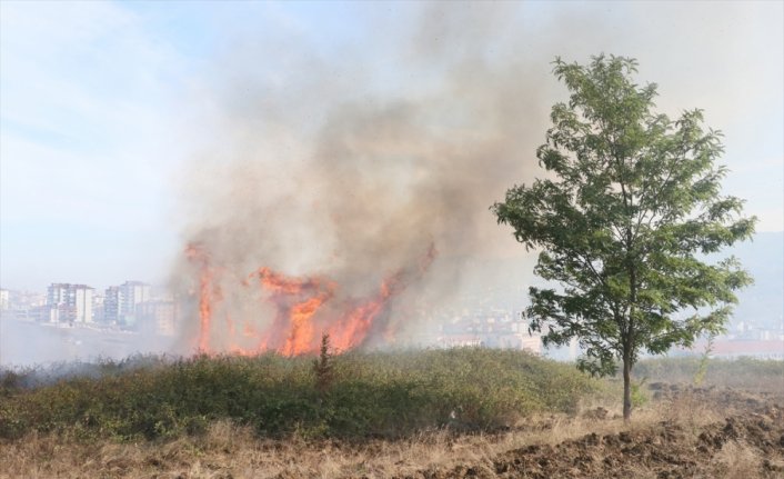 Samsun'da ağaçlık alanda çıkan yangın ekiplerin müdahalesiyle söndürüldü