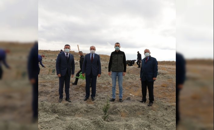 11 Kasım Milli Ağaçlandırma Günü