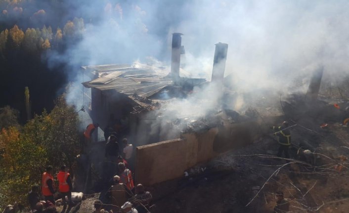 Artvin'de ev yangınları