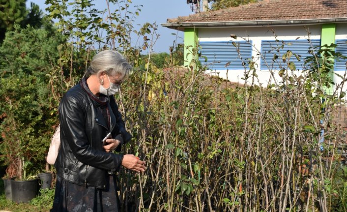 Doğa sevdalısı arkadaşlar Orman İşletme Müdürlüğüne meyve fidanı bağışladı