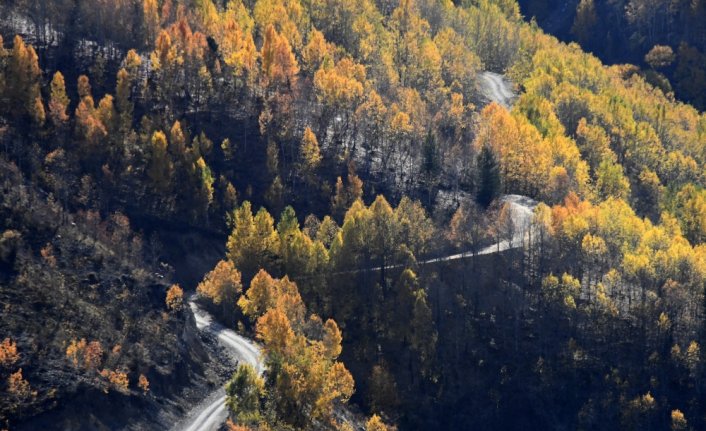 Gümüşhane ve Bayburt'ta güz renkleri görsel şölen sunuyor