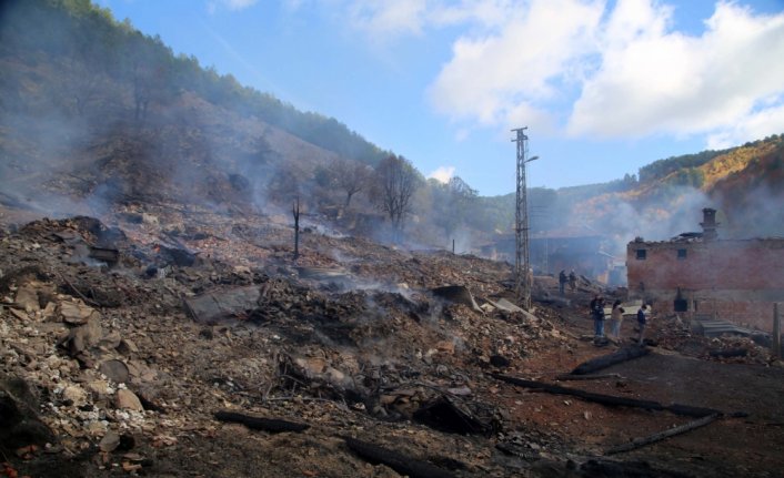GÜNCELLEME 3 - Kastamonu'da köyde yangın