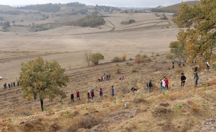 Havza'da fidanlar toprakla buluşturuldu