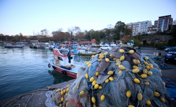 Karadeniz hamsisi en lezzetli dönemine ulaştı