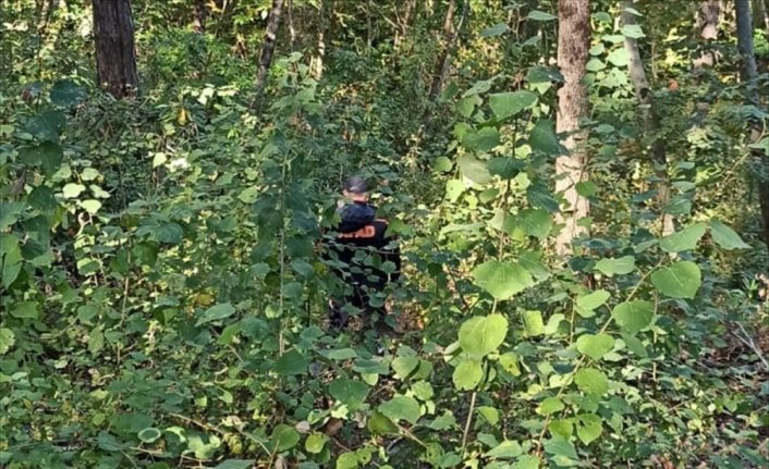 Kastamonu'da alzaymır hastası yaşlı kadından 17 gündür haber alınamıyor