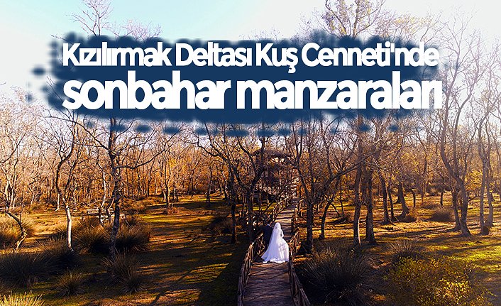 Kızılırmak Deltası Kuş Cenneti'nde sonbahar manzaraları