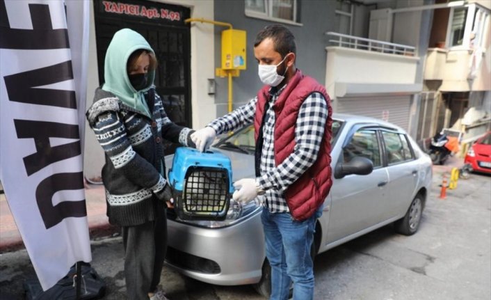 Kovid-19 karantinasındaki kişinin hastalanan kedisini belediye tedavi ettirdi