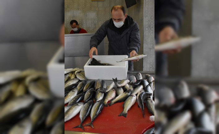 Ordu'da hava koşulları balıkçıları olumsuz etkiliyor