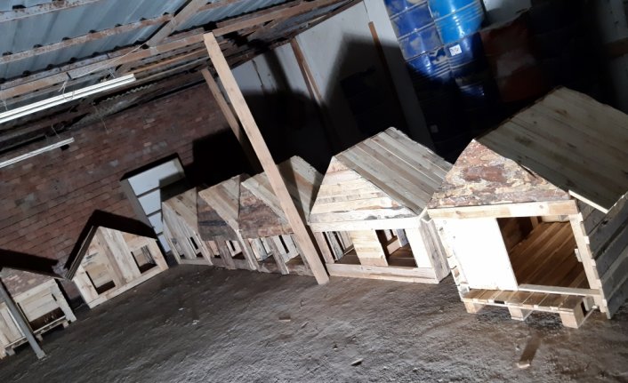 Sokak hayvanları için paletlerden kulübe yapıyorlar