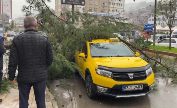 Zonguldak'ta ağacın taksinin üzerine devrilmesi güvenlik kamerasına yansıdı