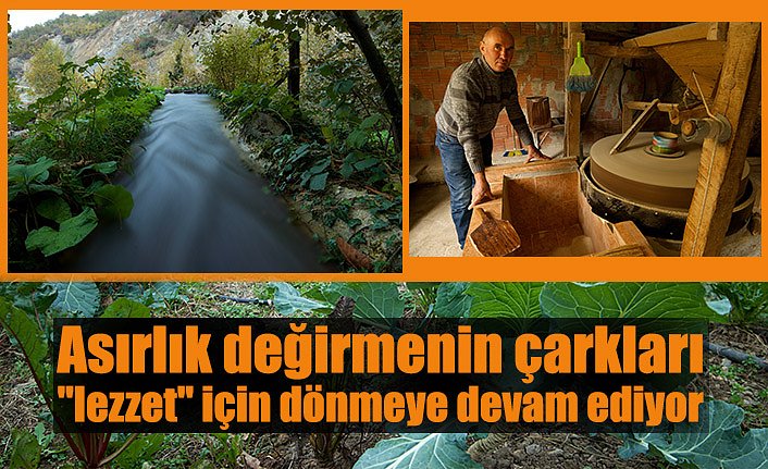 Asırlık değirmenin çarkları "lezzet" için dönmeye devam ediyor