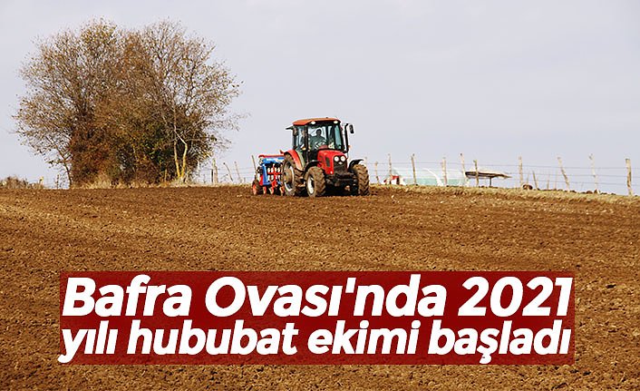Bafra Ovası'nda 2021 yılı hububat ekimi başladı