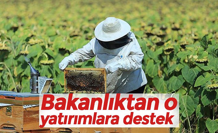 Bakanlıktan o yatırımlara destek