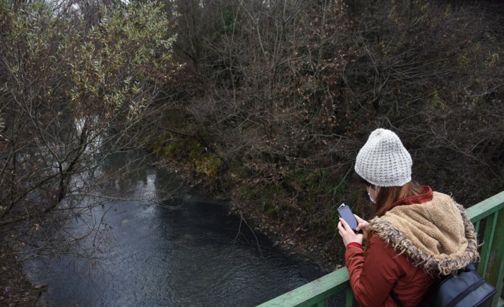 Bartın Irmağı'nda akıntıya karşı yüzen yavru balıklar ilgi uyandırdı