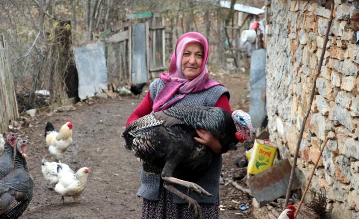 Doğal ortamda yetişen 
