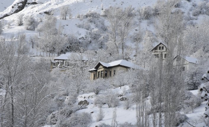 Doğu Karadeniz'de kar yağışı etkili oluyor