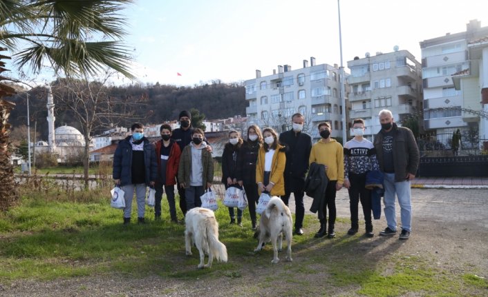 Güzel yürekli çocuklar hayvanlar için sokakta