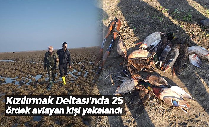 Kızılırmak Deltası'nda 25 ördek avlayan kişi yakalandı