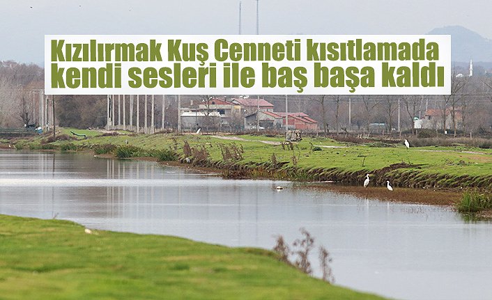 Kızılırmak Kuş Cenneti kısıtlamada kendi sesleri ile baş başa kaldı