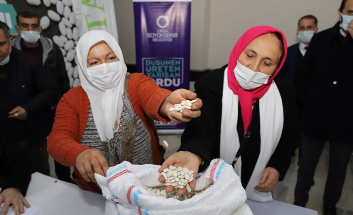 Ordu'da üreticilerin yüzü, sözleşmeli tarım modeli ile gülüyor