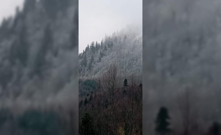 Sakarya, Karabük, Bolu ve Düzce'de yüksek kesimler beyaza büründü