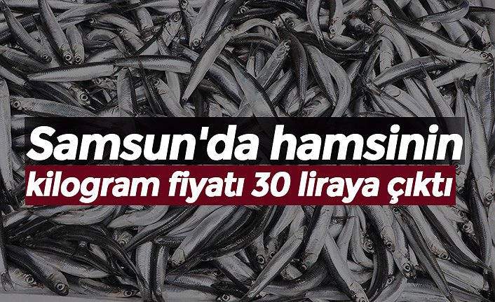 Samsun'da hamsinin kilogram fiyatı 30 liraya çıktı