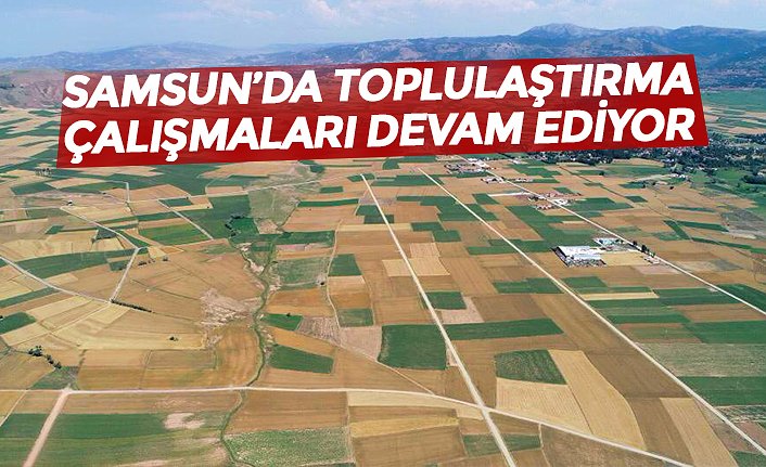 SAMSUN’DA TOPLULAŞTIRMA ÇALIŞMALARI DEVAM EDİYOR