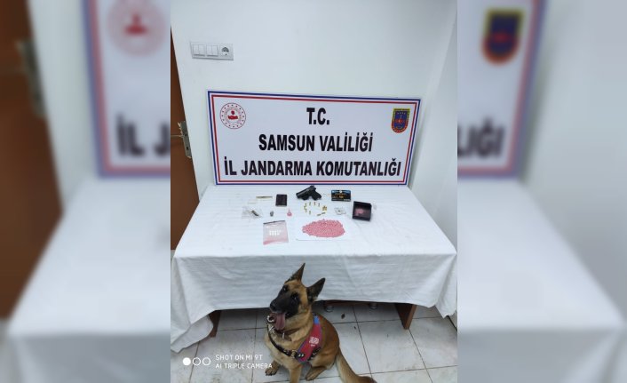 Samsun'da uyuşturucu operasyonunda bir kişi gözaltına alındı