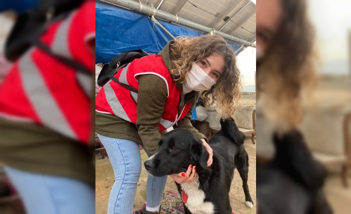 Üniversite öğrencileri engelli ve yavru köpekleri besledi