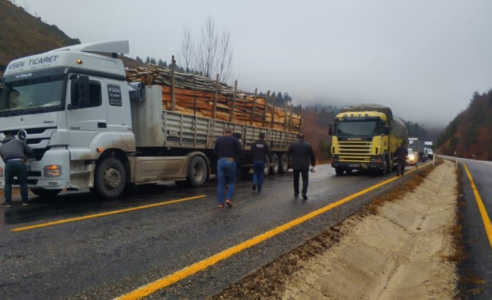 Yoluna çıkan köpeğe çarpmamak için kaza yaptı