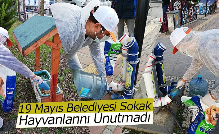 19 Mayıs Belediyesi Sokak Hayvanlarını Unutmadı