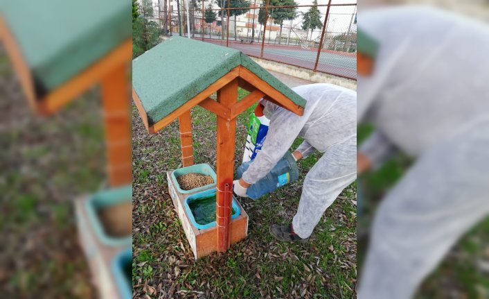 19 Mayıs'ta kısıtlamada sokak hayvanları unutulmadı