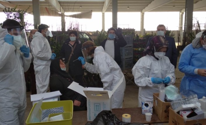 Alaplı'da pazarcı esnafına Kovid-19 testi yapıldı