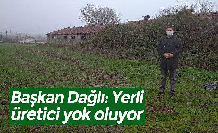 Başkan Dağlı: Yerli üretici yok oluyor