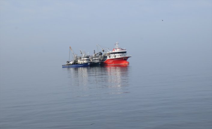 Batı Karadeniz'de balıkçılar hamsi avının durdurulmasıyla istavrite yönelecek