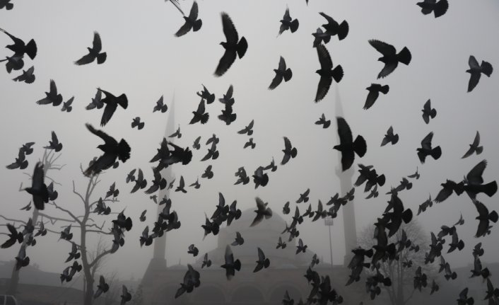 Bolu Dağı'nda sis etkili oluyor