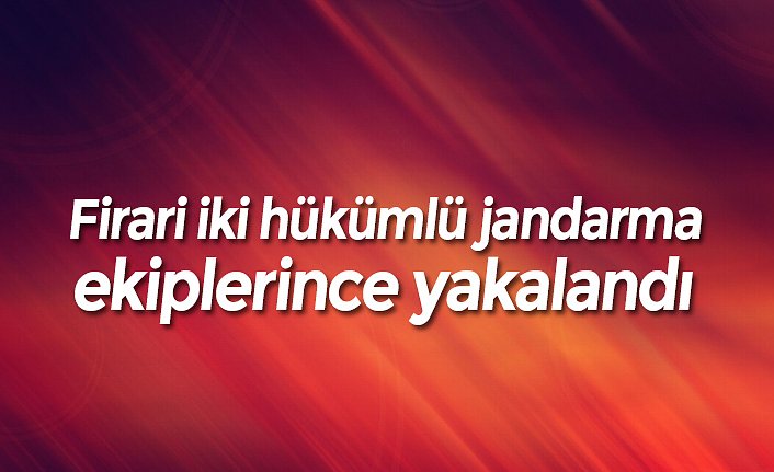 Firari iki hükümlü jandarma ekiplerince yakalandı