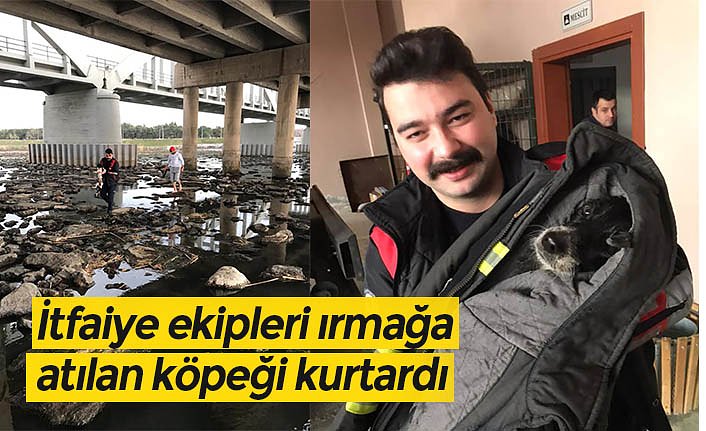 İtfaiye ekipleri ırmağa atılan köpeği kurtardı