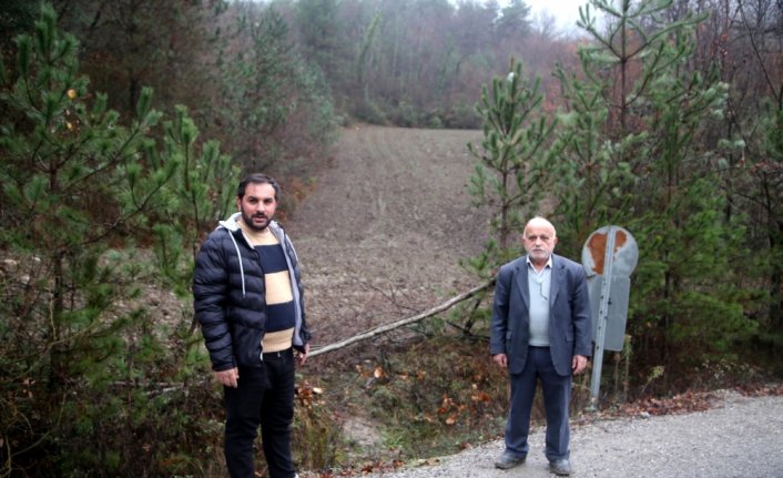 Kastamonu'da yıllardır atıl kalan tarlalar yaban hayvanları için ekildi